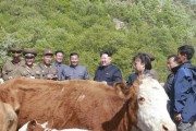 牧場を視察する金正恩氏（労働新聞）