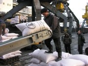 WFPが北朝鮮に援助した小麦粉（WFP）