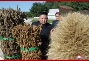 軍傘下の農場を現地視察した金正恩氏（2019年10月9日付朝鮮中央通信より）